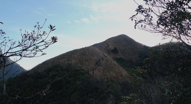 p1120270_1.jpg