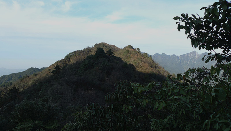 p1120272_1.jpg