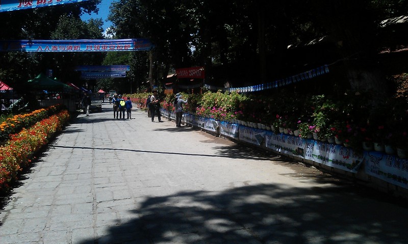 imag1685.jpg