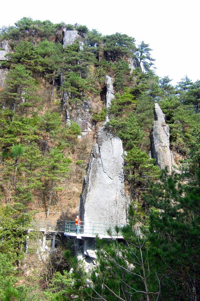 ʨĻ26.jpg