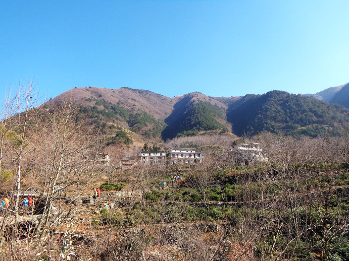 65.jpg