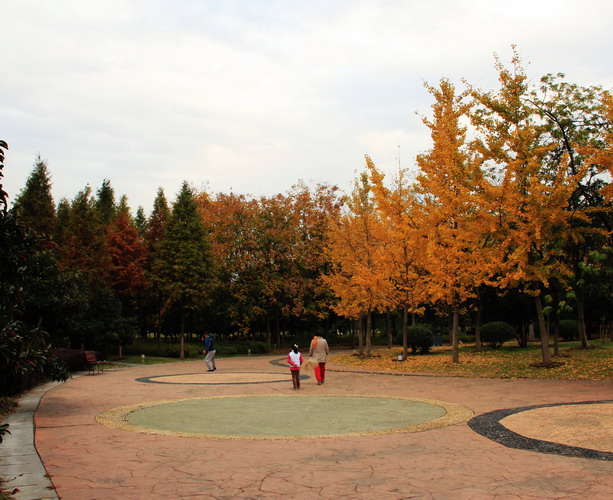 img_0643_СС.jpg