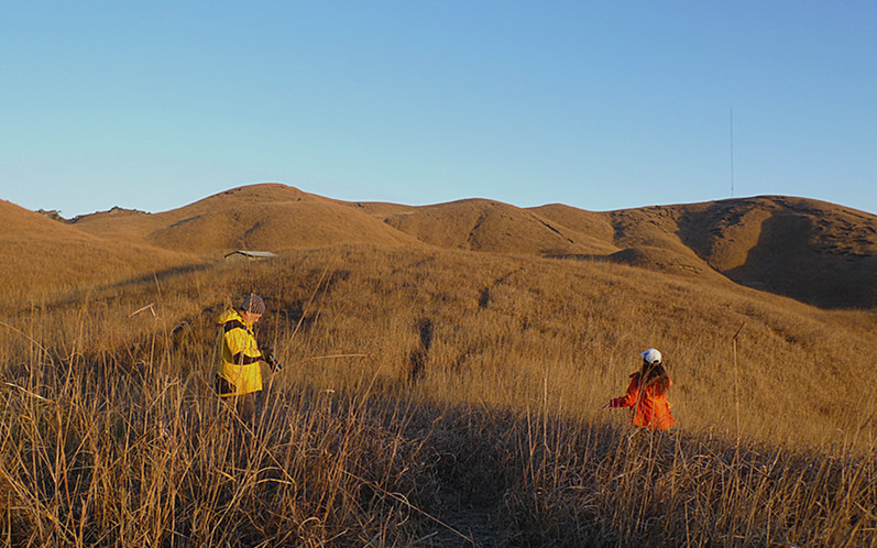 p1120536_1.jpg