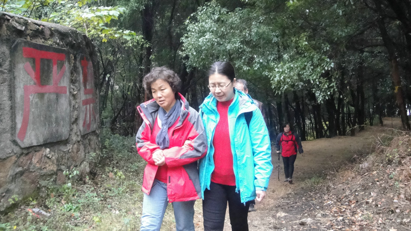dsc06695.jpg