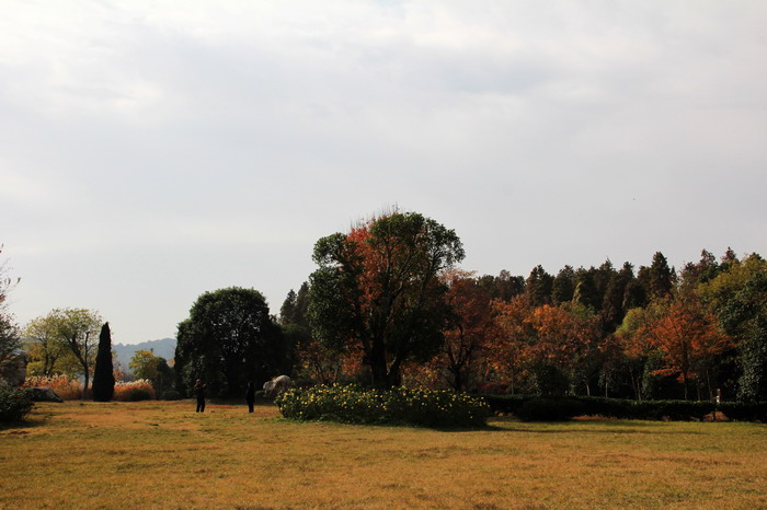 img_0559_СС.jpg