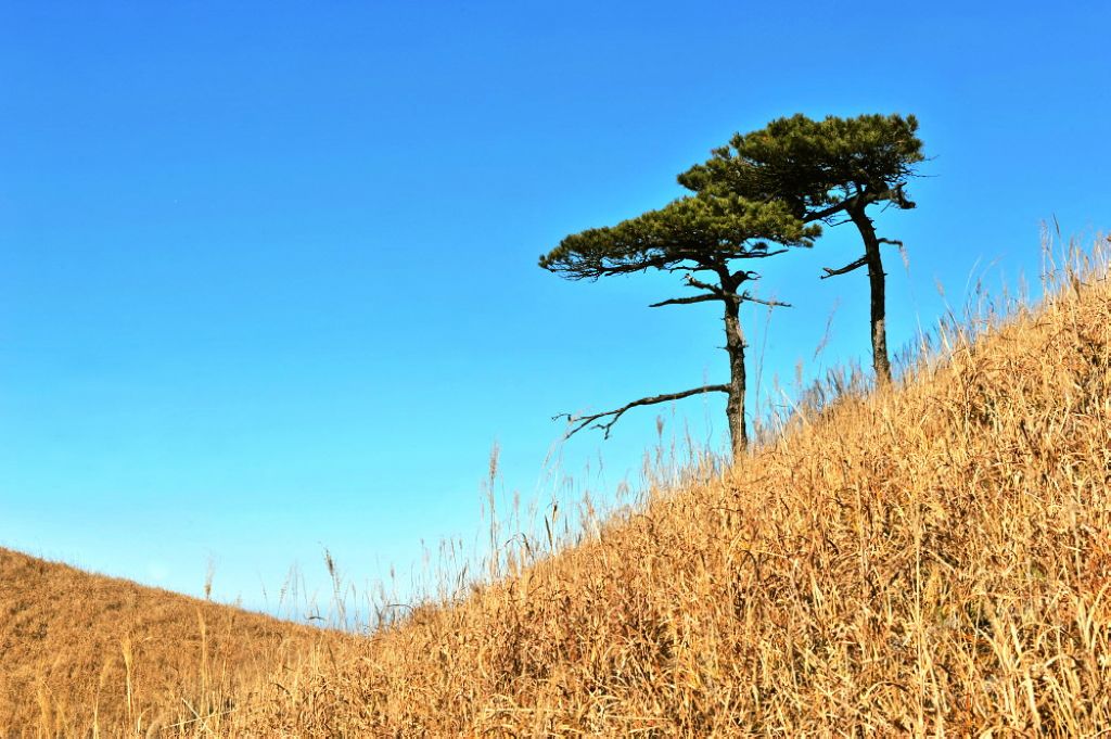 dsc_2708aaa.jpg
