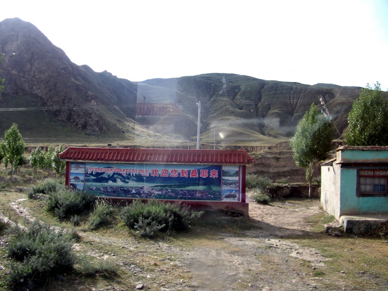 dscf0713.jpg