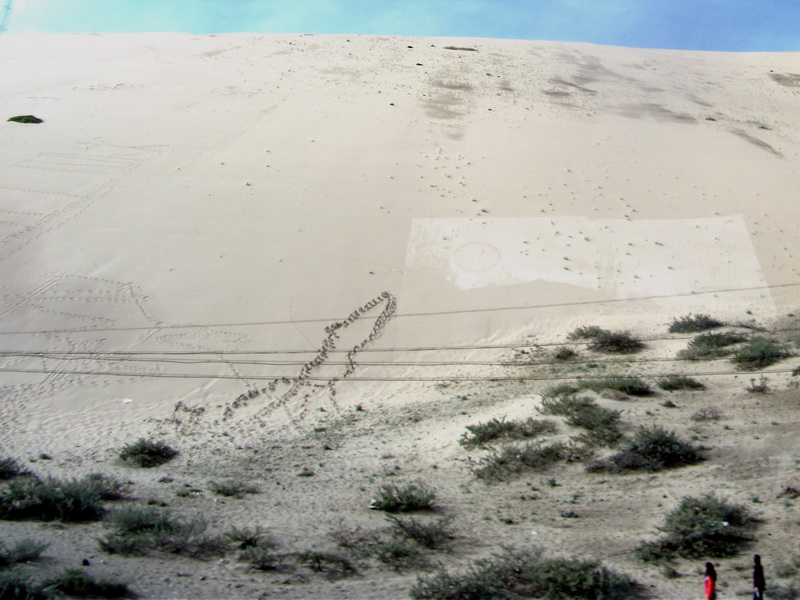 dscf0717.jpg