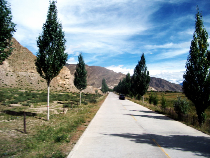 dscf0729.jpg