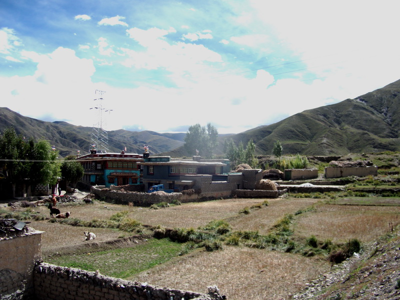 dscf0732.jpg