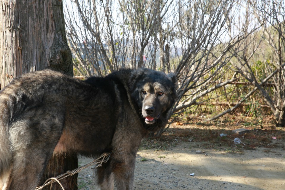 qqͼƬ20131207190025.jpg