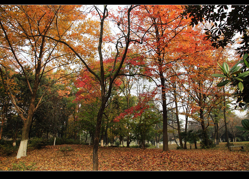 _mg_8336.jpg