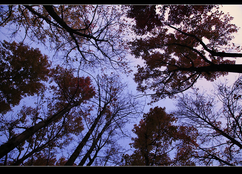 _mg_8327.jpg
