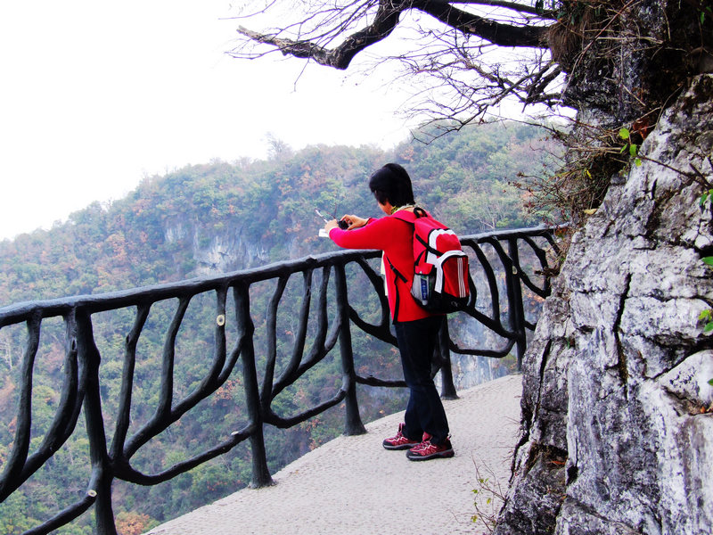 dscf8860.jpg