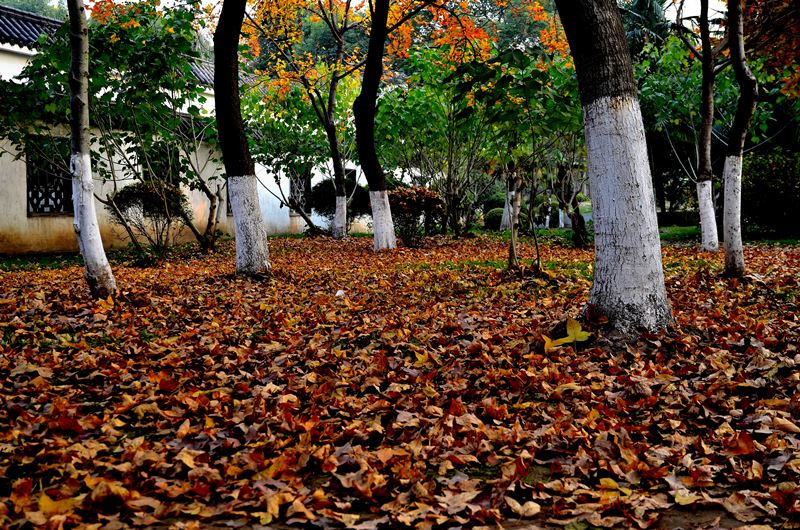 dsc_8112.jpg