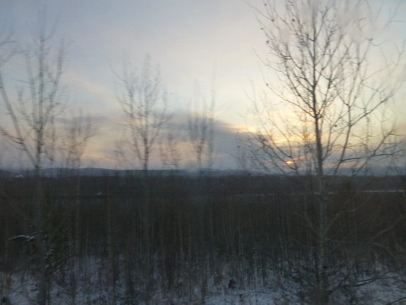 p1010254.jpg