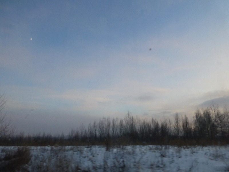 p1010260.jpg
