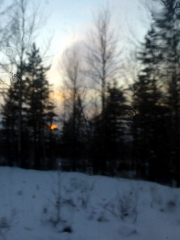 p1010268.jpg
