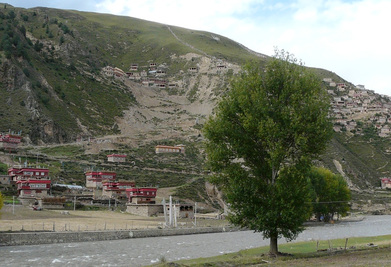 169.jpg