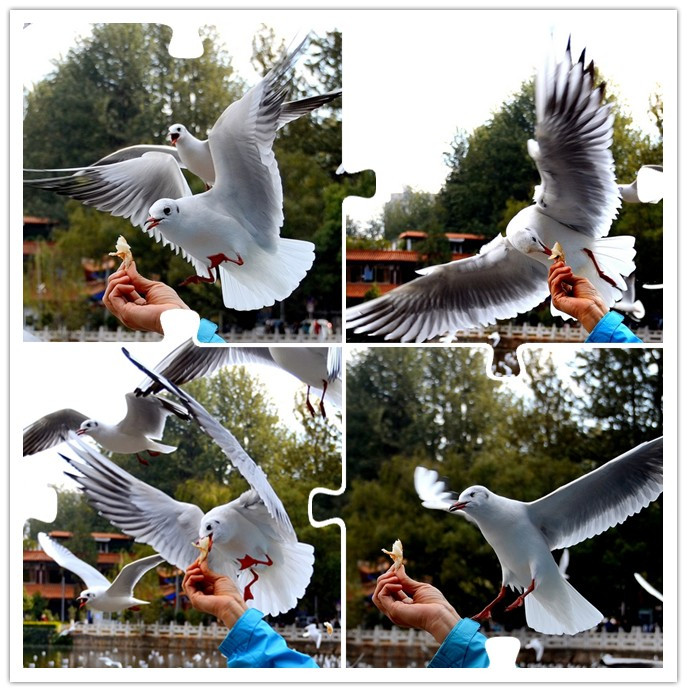ιŸ.jpg