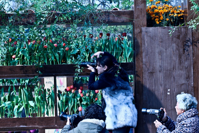 img_5223_缩小大小.jpg