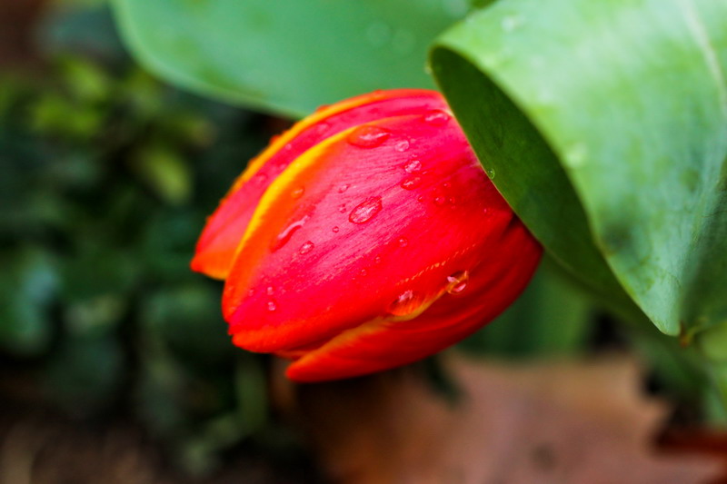 img_5640_缩小大小.jpg