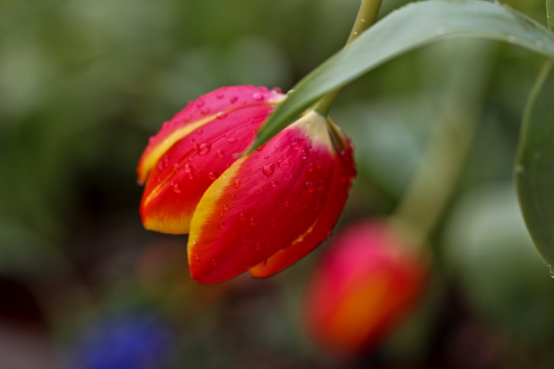 img_5644_缩小大小.jpg