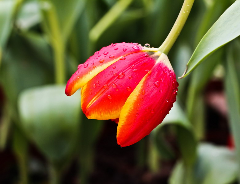img_5647_缩小大小.jpg