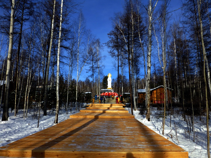 p1010716.jpg