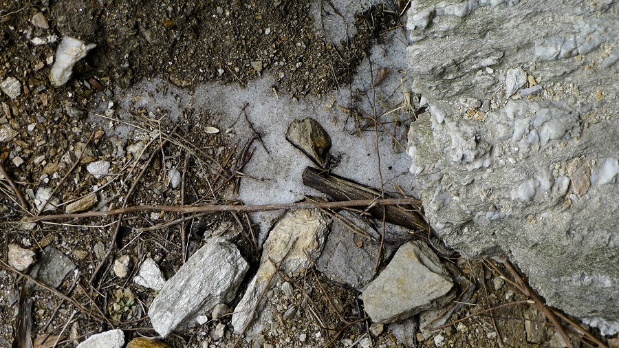 p1110331.jpg