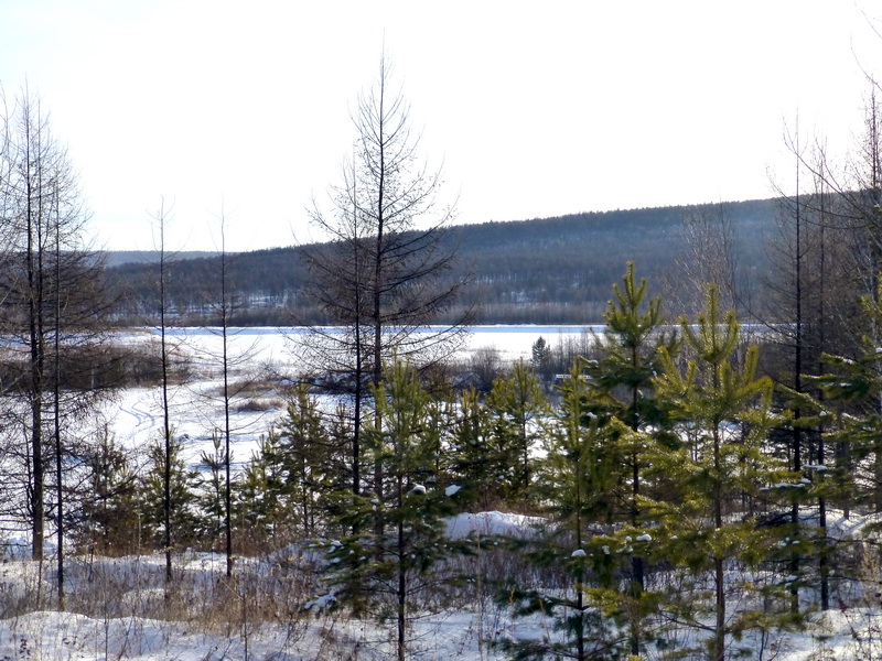 p1010735.jpg