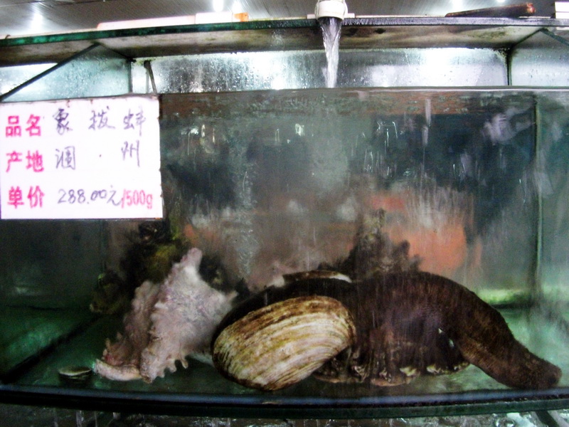 dscf0107.jpg