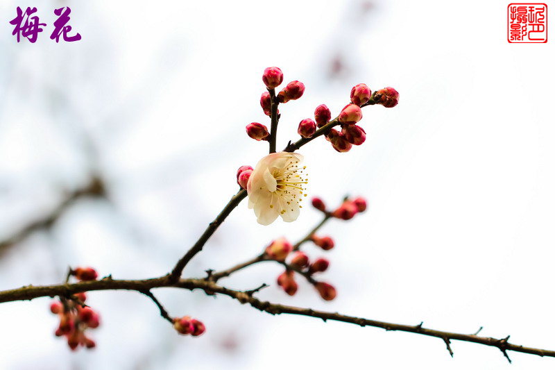 img_5607_缩小大小.jpg