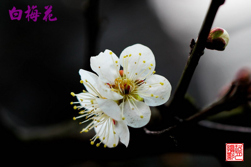 img_5614_缩小大小.jpg