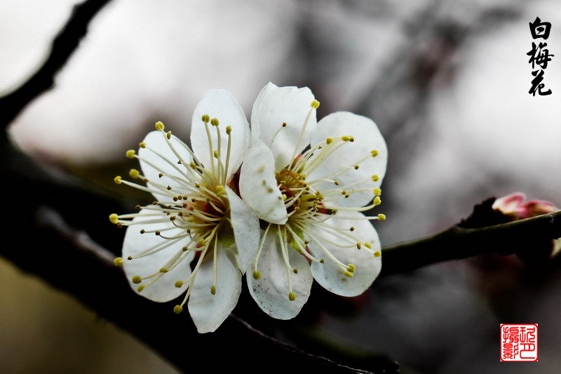 img_5616_缩小大小.jpg