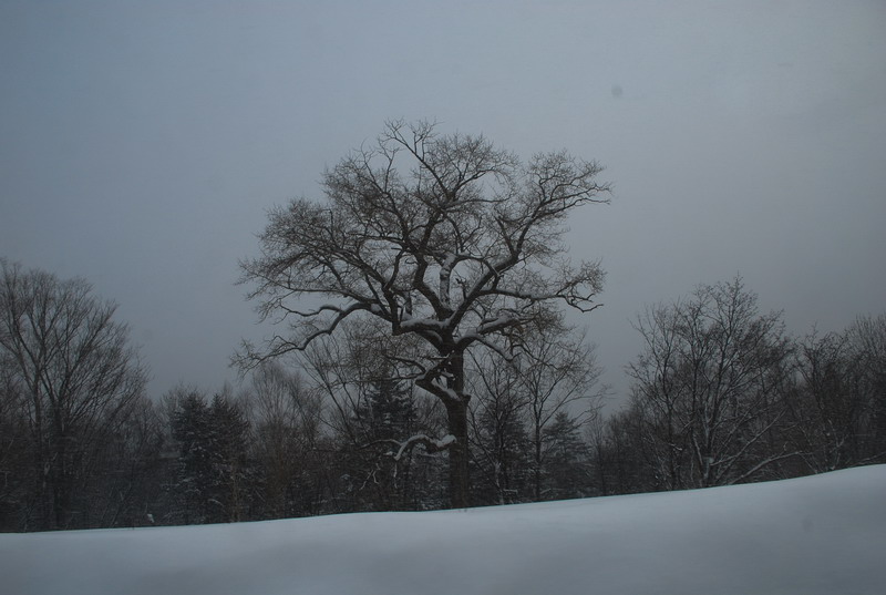dsc_4084.jpg