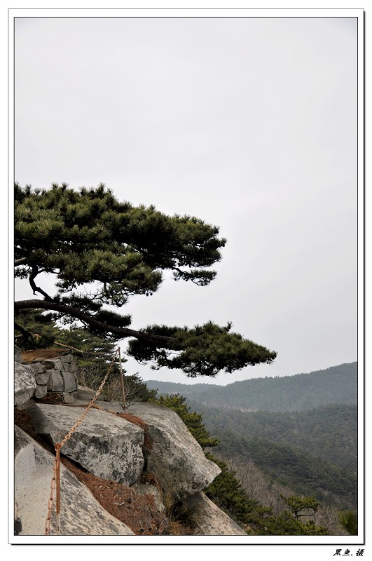 羰 (6).jpg