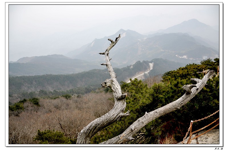 羰 (8).jpg