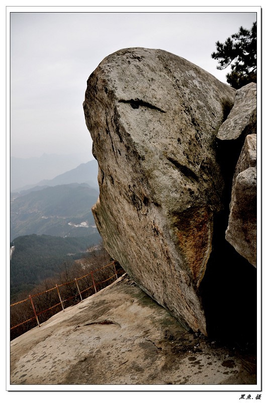 羰 (11).jpg