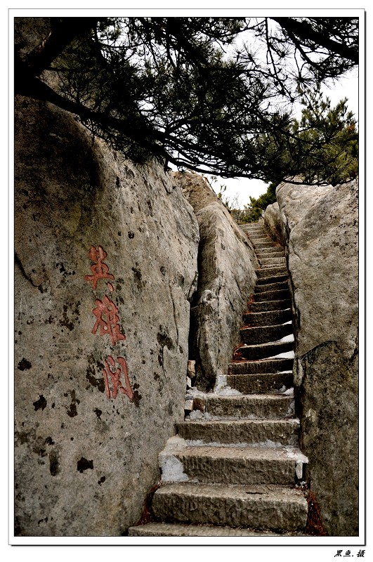 羰 (10).jpg