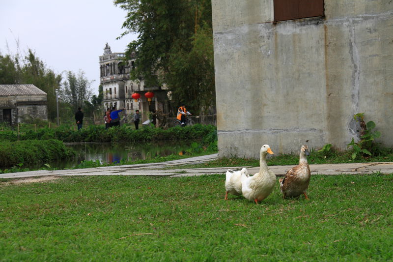 img_0185.jpg
