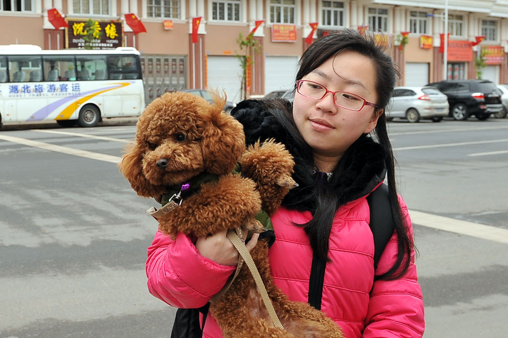 yjw_9877-1.jpg