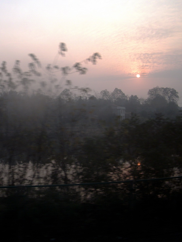 dscf0205.jpg
