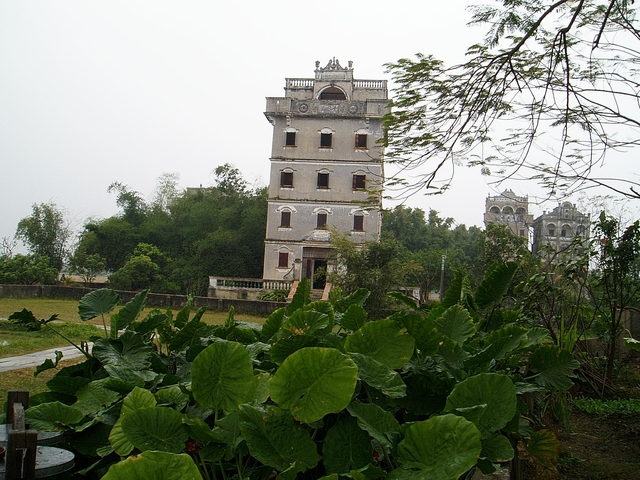p1012447.jpg