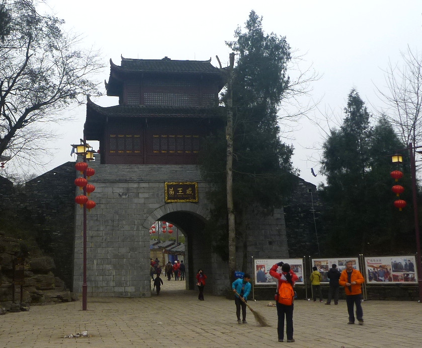 p1130878_.jpg