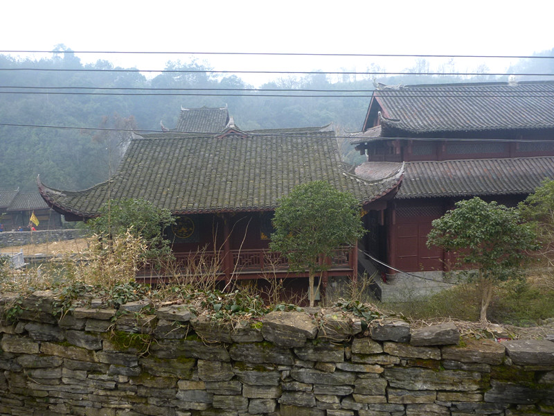 p1130898_.jpg