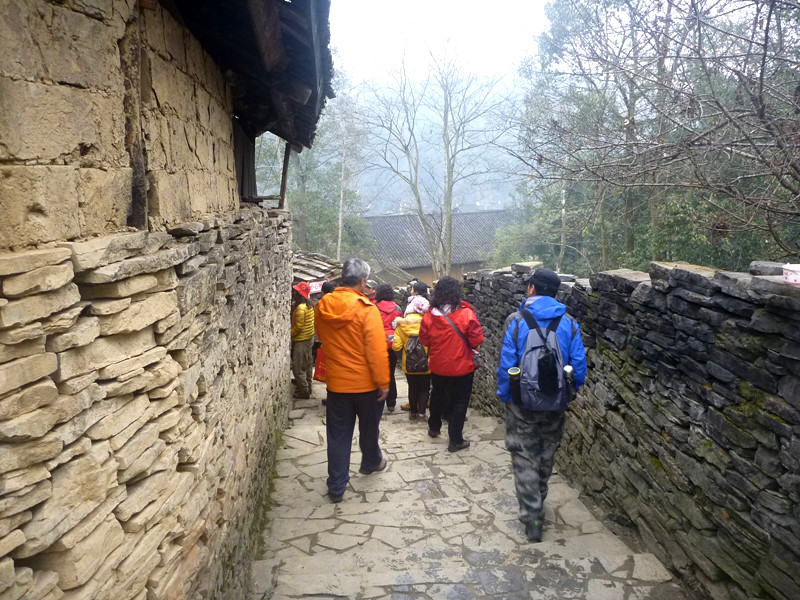 p1130904_.jpg