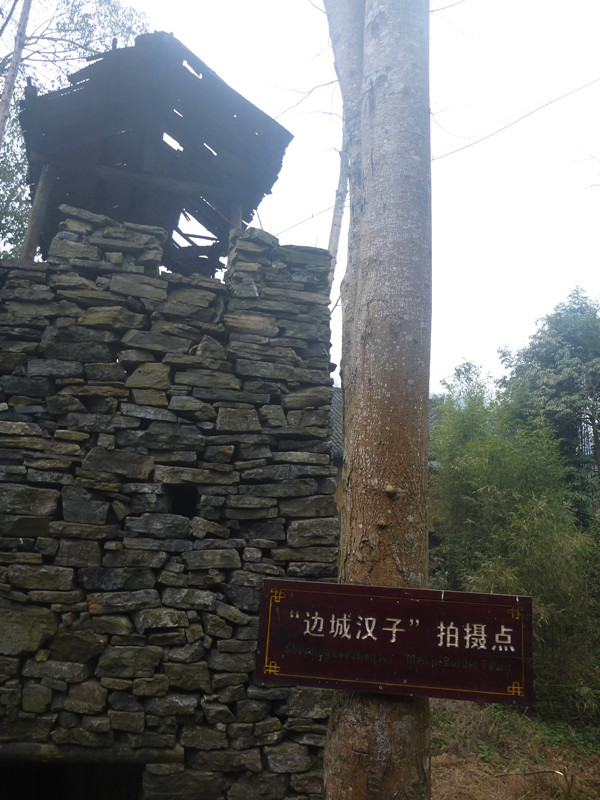 p1130905_.jpg