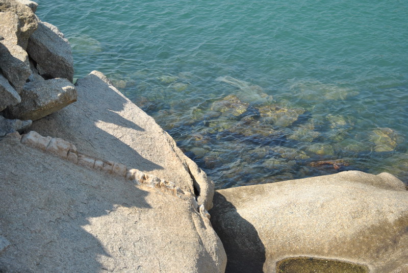dsc_9008_С.jpg