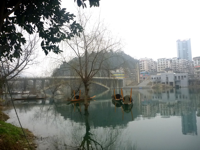 p1130948_.jpg